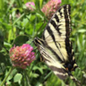 Meet your Posher, Jitka